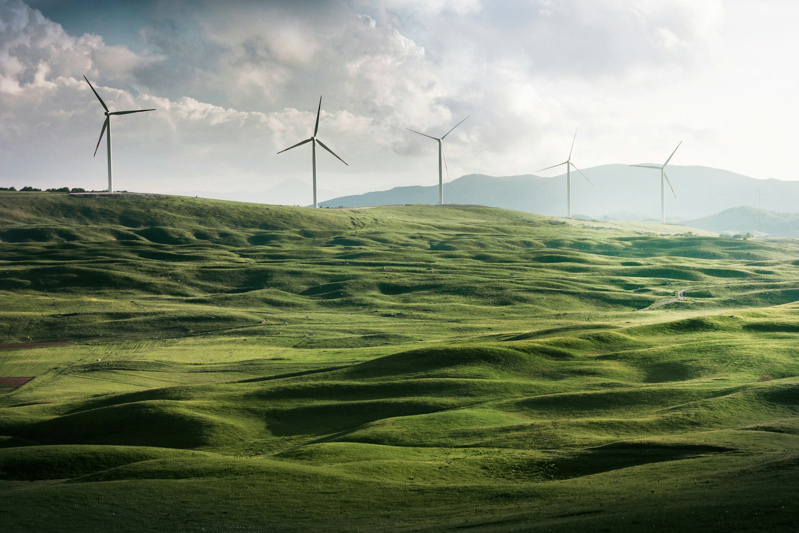 SAF Plants Advance as Norwegian Launches 40% Blend Route