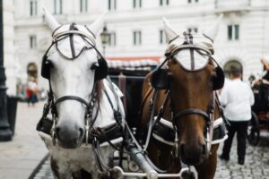 Horse D20 Methanol REEV: Engineering the Post-2035 Compliance Powertrain