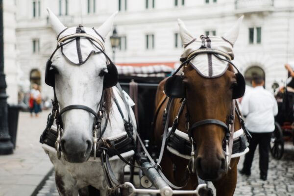Horse D20 Methanol REEV: Engineering the Post-2035 Compliance Powertrain