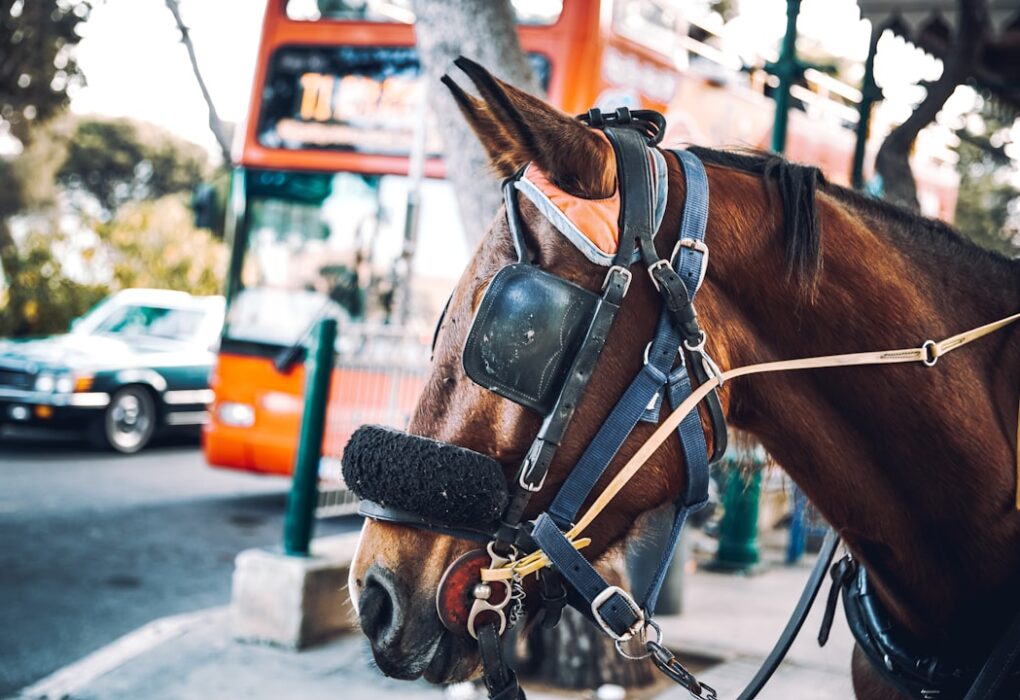 Horse D20 Methanol REEV: Engineering the Post-2035 Compliance Powertrain