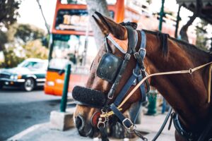 Horse D20 Methanol REEV: Engineering the Post-2035 Compliance Powertrain