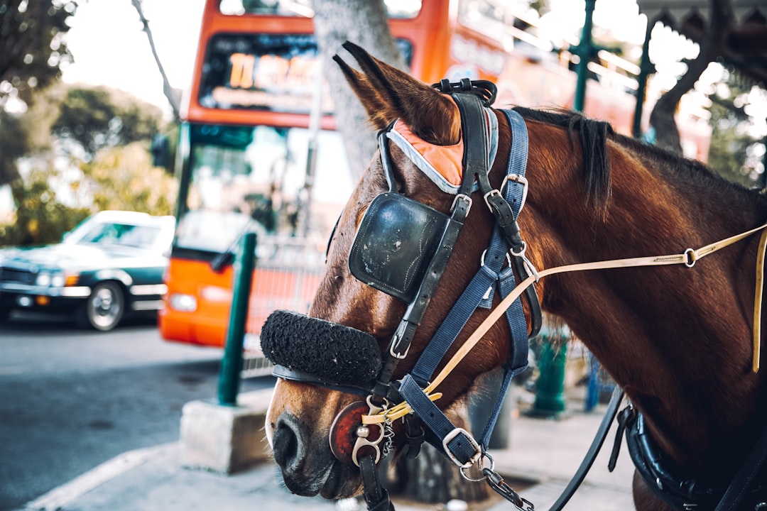 Horse D20 Methanol REEV: Engineering the Post-2035 Compliance Powertrain