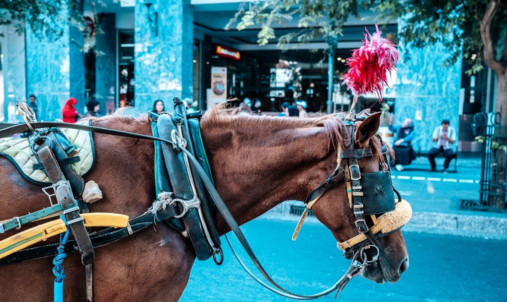 Horse D20 Methanol Range Extender: Engineering the 2035 ICE Compliance Bridge