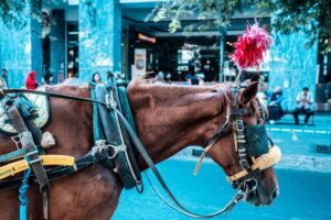 Horse D20 Methanol Range Extender: Engineering the 2035 ICE Compliance Bridge