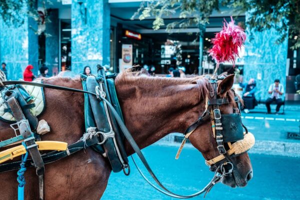 Horse D20 Methanol Range Extender: Engineering the 2035 ICE Compliance Bridge
