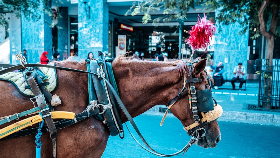 Horse D20 Methanol Range Extender: Engineering the 2035 ICE Compliance Bridge