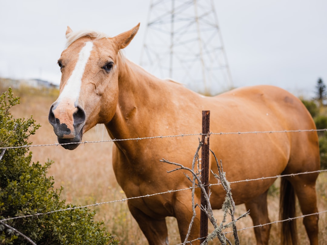 Horse D20 Methanol REEV: Engineering the Post-2035 Compliance Powertrain